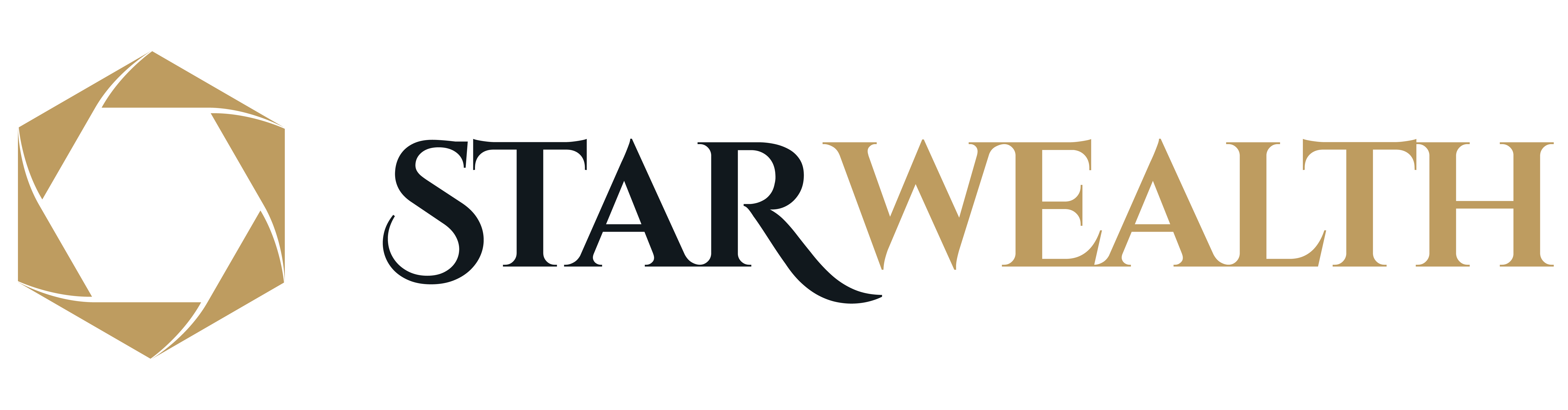 Star Wealth Logo